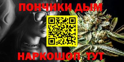 прущие грибы Краснокаменск