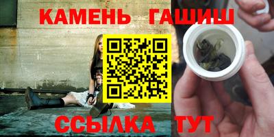 сатива Краснознаменск